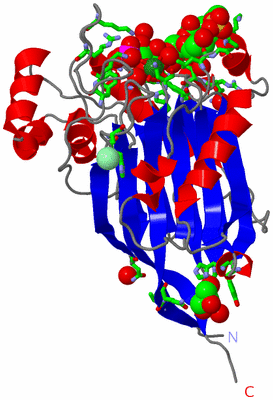 Image Asym. Unit - sites