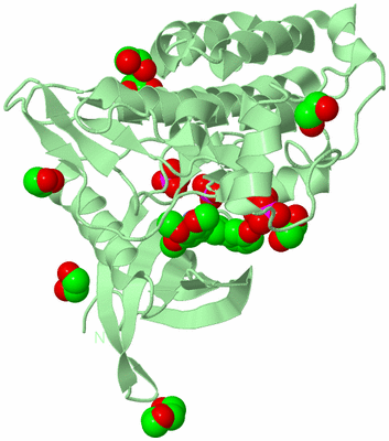 Image Biological Unit 2