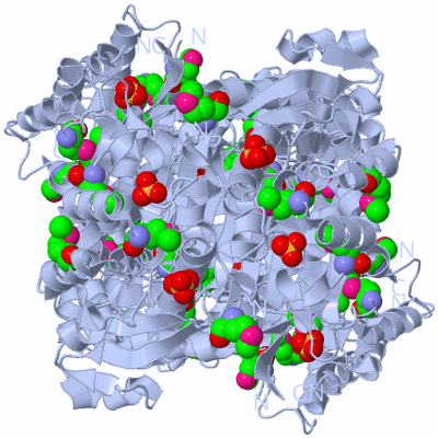 Image Biological Unit 1