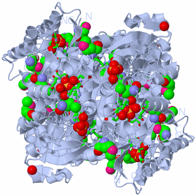 Image Biol. Unit 1 - sites