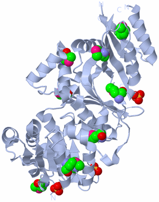 Image Biological Unit 3