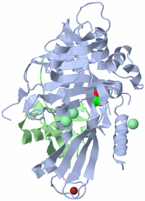 Image Biological Unit 1