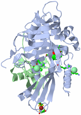 Image Biol. Unit 1 - sites