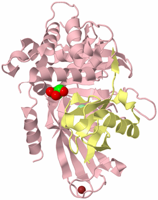 Image Biological Unit 2