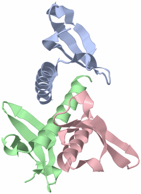 Image Asymmetric Unit