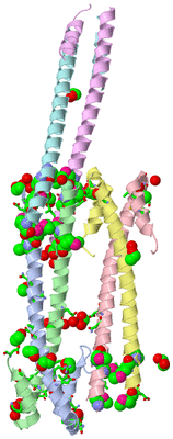 Image Asym. Unit - sites