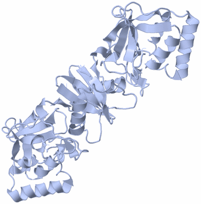 Image Biological Unit 1