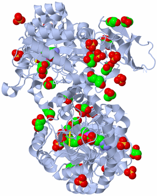 Image Biological Unit 1