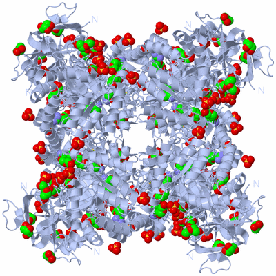 Image Biological Unit 2