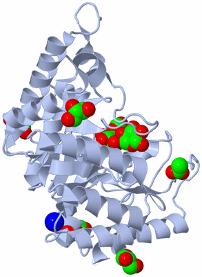 Image Biological Unit 1