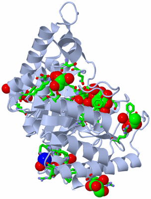 Image Biol. Unit 1 - sites