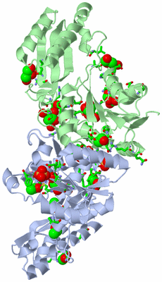 Image Biol. Unit 1 - sites