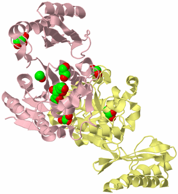 Image Biological Unit 2