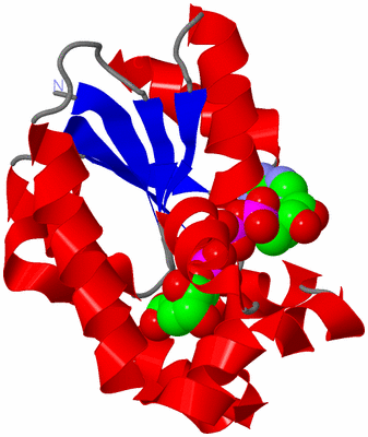 Image Asym./Biol. Unit