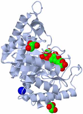 Image Biological Unit 1