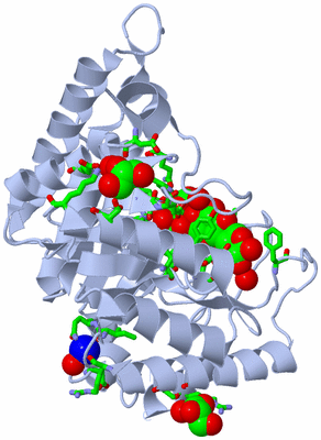 Image Biol. Unit 1 - sites