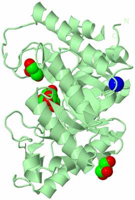 Image Biological Unit 2