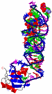 Image Asym./Biol. Unit