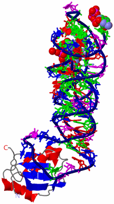 Image Asym./Biol. Unit - sites