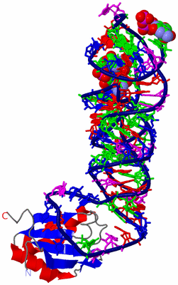 Image Asym./Biol. Unit