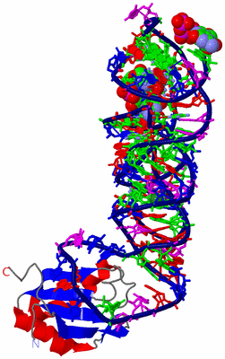 Image Asym./Biol. Unit - sites