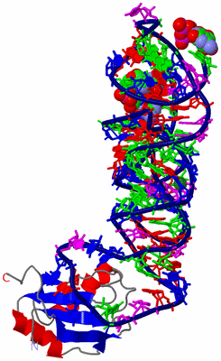 Image Asym./Biol. Unit