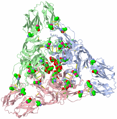 Image Biological Unit 1