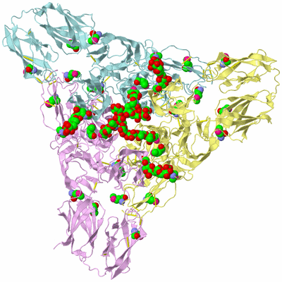 Image Biological Unit 2