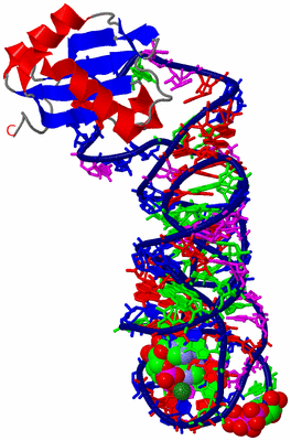 Image Asym./Biol. Unit