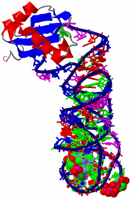 Image Asym./Biol. Unit - sites