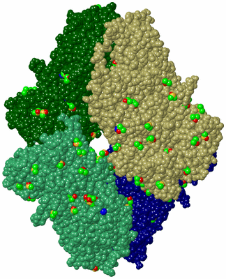 Image Asym./Biol. Unit