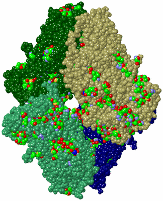 Image Asym./Biol. Unit - sites