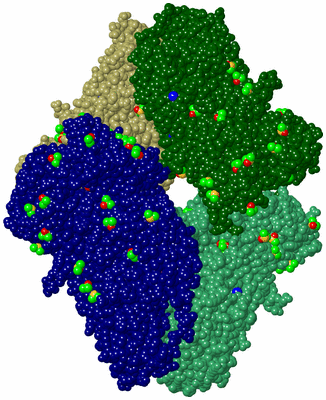 Image Asym./Biol. Unit