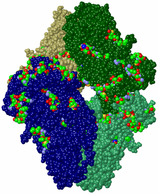 Image Asym./Biol. Unit - sites