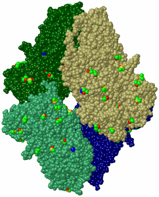 Image Asym./Biol. Unit