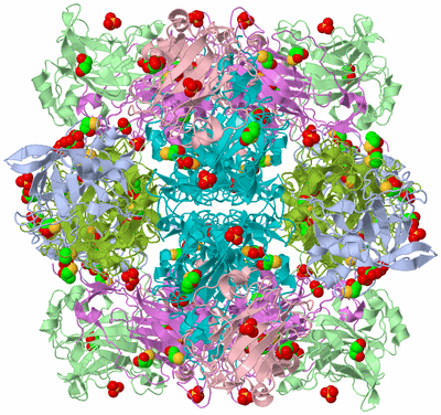 Image Biological Unit 1