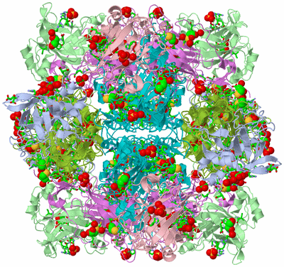 Image Biol. Unit 1 - sites