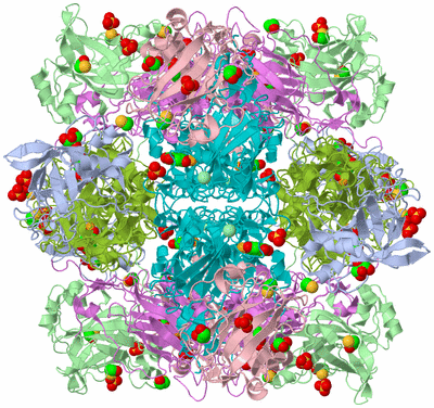 Image Biological Unit 1