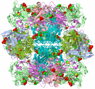 Image Biol. Unit 1 - sites