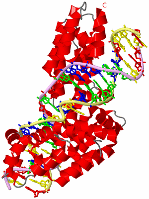 Image Asym./Biol. Unit