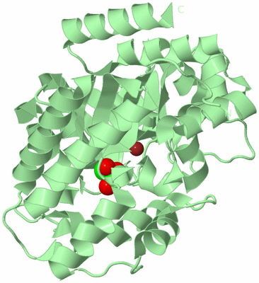 Image Biological Unit 2