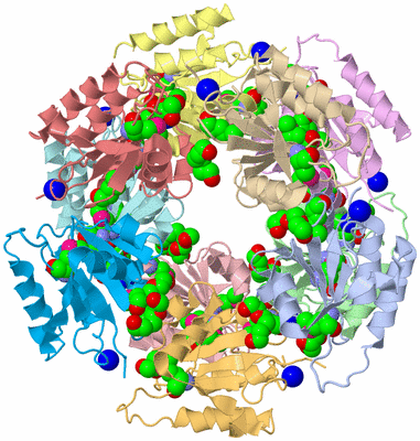 Image Biological Unit 1