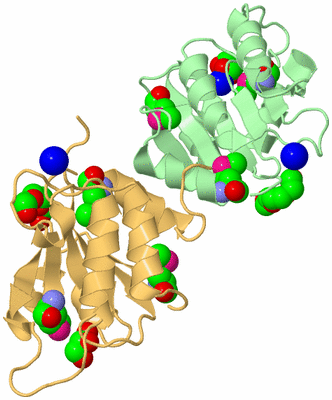 Image Biological Unit 3