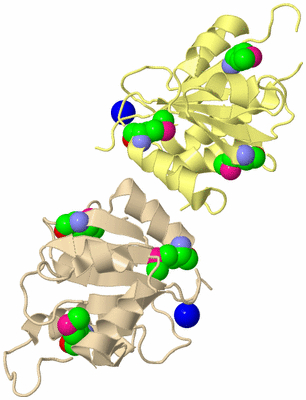 Image Biological Unit 5