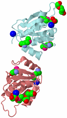 Image Biological Unit 6