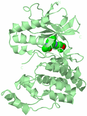 Image Biological Unit 2