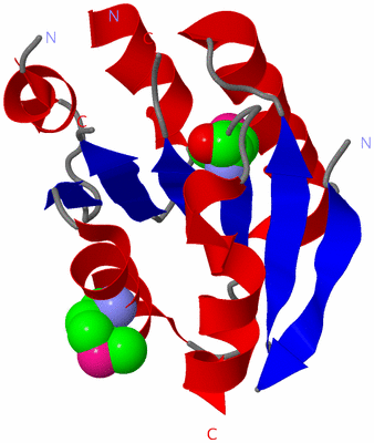 Image Asym./Biol. Unit