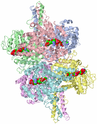 Image Asym./Biol. Unit