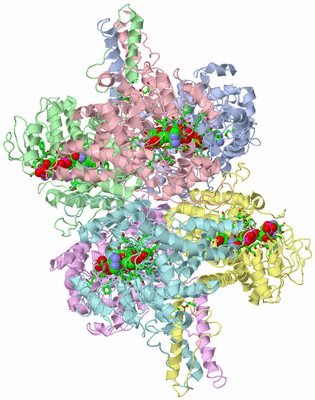 Image Asym./Biol. Unit - sites