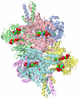 Image Asym./Biol. Unit